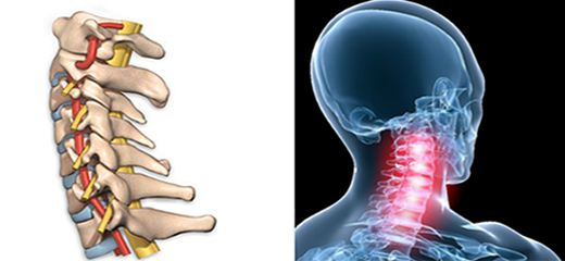 Understanding the spine the Injuries and complications